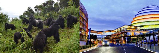 2 DAYS KIGALI & VOLCANOES NATIONAL PARK – GORILLA TREKKING