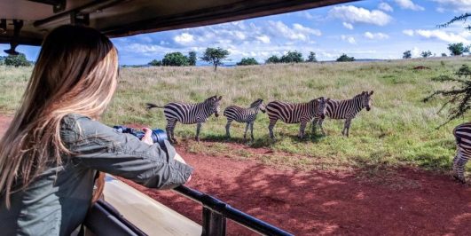 3DAYS TO VISIT AKAGERA NATIONAL PARK