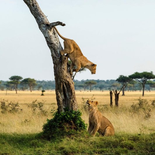 2DAYS EXPLORING QUEEN ELIZABETH NATIONAL PARK